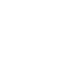 user security icon